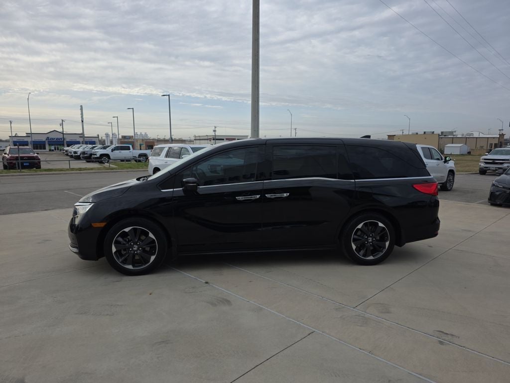 2024 Honda Odyssey Elite