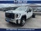 2025 GMC Sierra 3500 HD Chassis Cab Pro