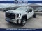2025 GMC Sierra 3500 HD Chassis Cab Pro