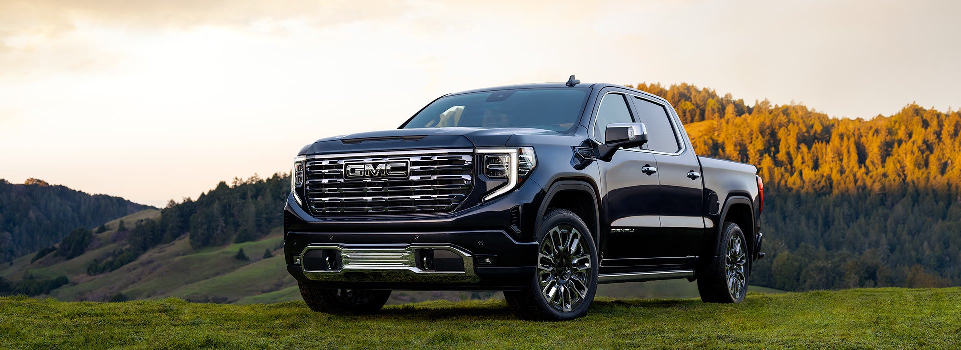Bruner GMC Early in Early TX